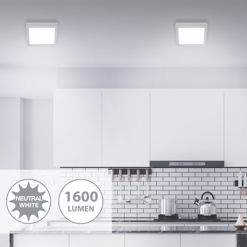 Briloner 7118-414 - Стельовий LED світильник FIRE LED/16,5W/230V 4000K