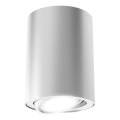 Briloner 7119-014 - Точковий LED світильник TUBE 1xGU10/5W/230V кругле