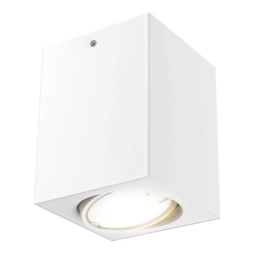 Briloner 7120-016 - Точковий LED світильник TUBE 1xGU10/5W/230V кутове