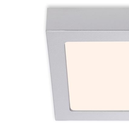Briloner 7123-014 - LED потолочный светильник FIRE LED/12W/230V 3000K 17x17cm серебристый