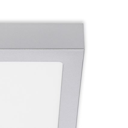 Briloner 7123-414 - Стельовий LED світильник FIRE LED/12W/230V срібний