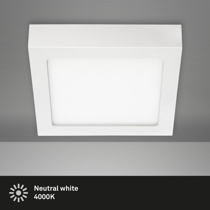 Briloner 7123-416 - Стельовий LED світильник FIRE LED/12W/230V білий