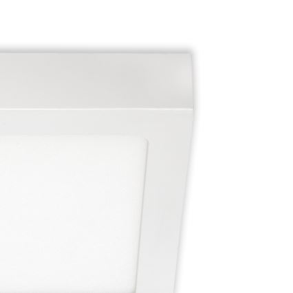 Briloner 7123-416 - Стельовий LED світильник FIRE LED/12W/230V білий