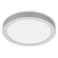 Briloner 7132-414 - Світлодіодний стельовий світильник для ванної кімнати FIRE LED/21W/230V 4000K IP44