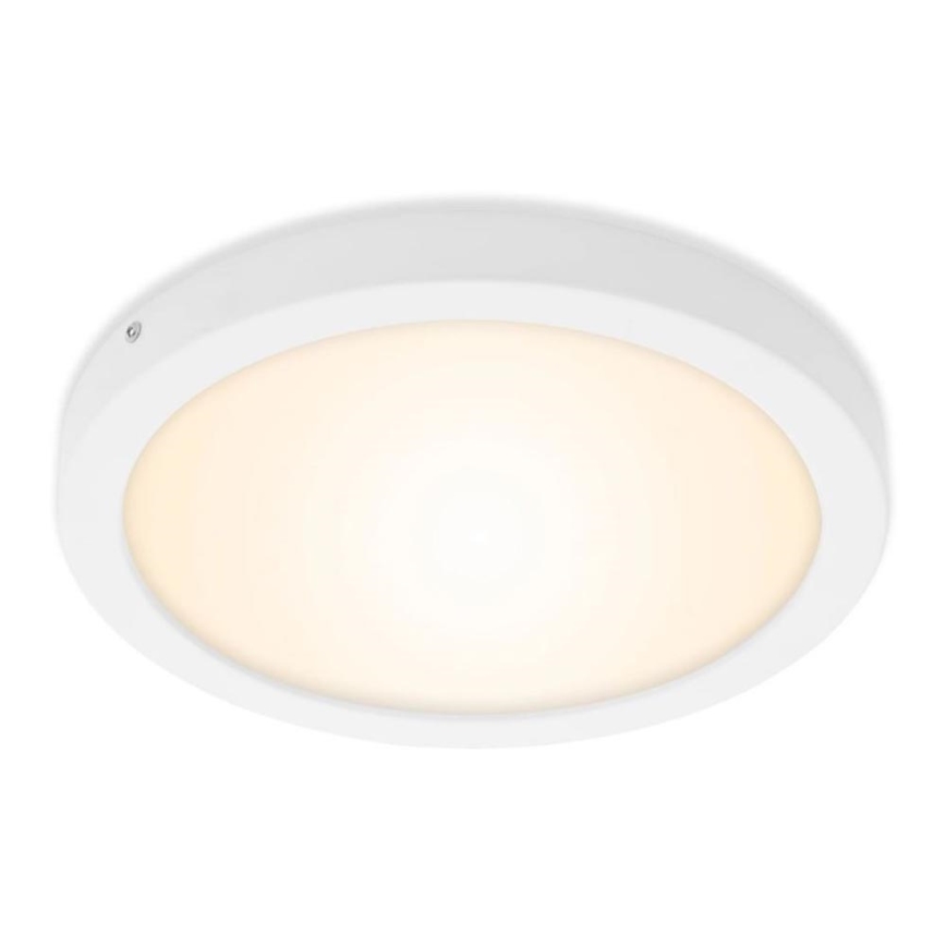 Briloner 7141-016 - Светодиодный потолочный светильник FIRE LED/21W/230V