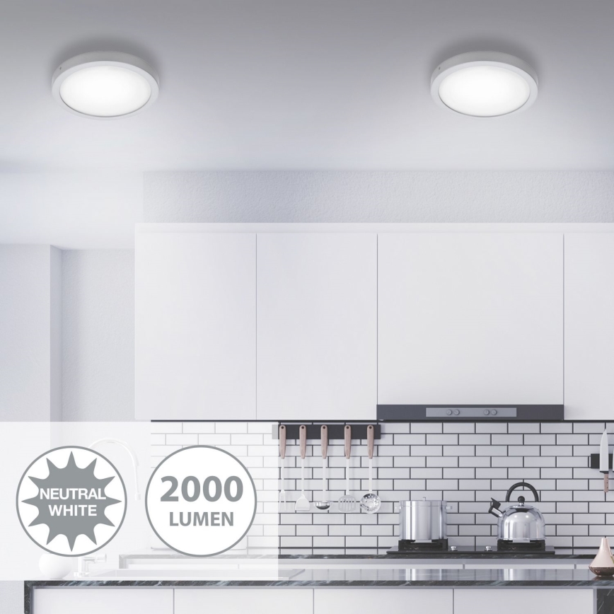 Briloner 7141-414 - Стельовий LED світильник FIRE LED/21W/230V 4000K