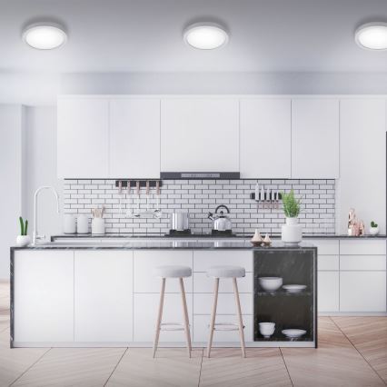 Briloner 7141-414 - Светодиодный потолочный светильник FIRE LED/21W/230V 4000K