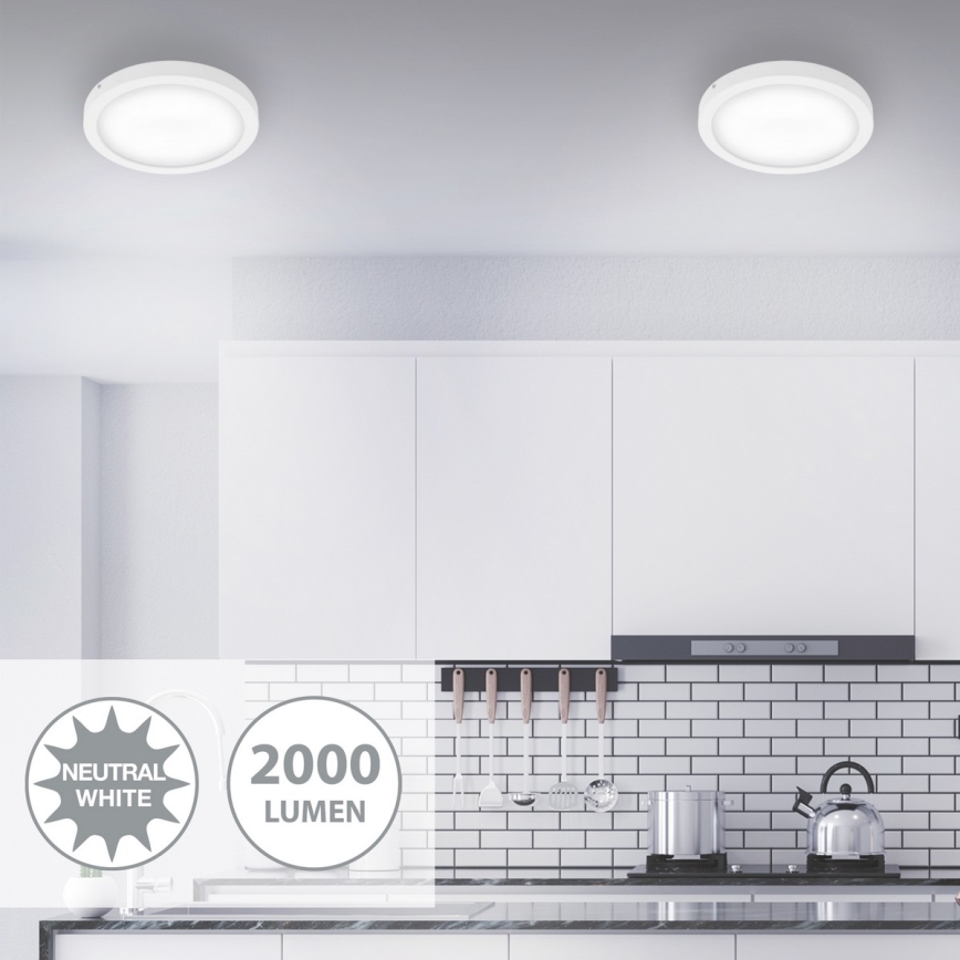 Briloner 7141-416 - Стельовий LED світильник FIRE LED/21W/230V