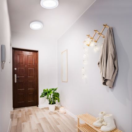 Briloner 7141-416 - Светодиодный потолочный светильник FIRE LED/21W/230V