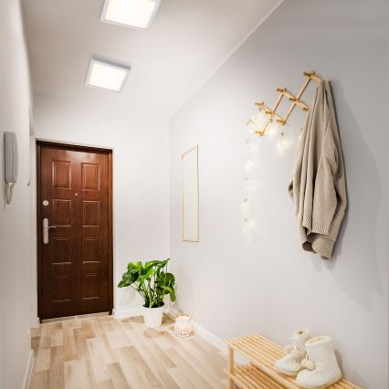 Briloner 7142-014 - Стельовий LED світильник FIRE LED/21W/230V 3000K