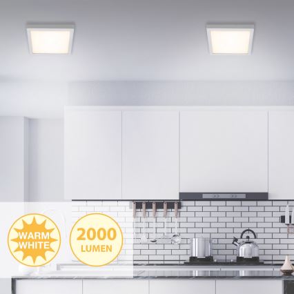 Briloner 7142-014 - Стельовий LED світильник FIRE LED/21W/230V 3000K