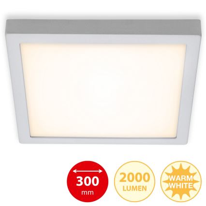 Briloner 7142-014 - Стельовий LED світильник FIRE LED/21W/230V 3000K