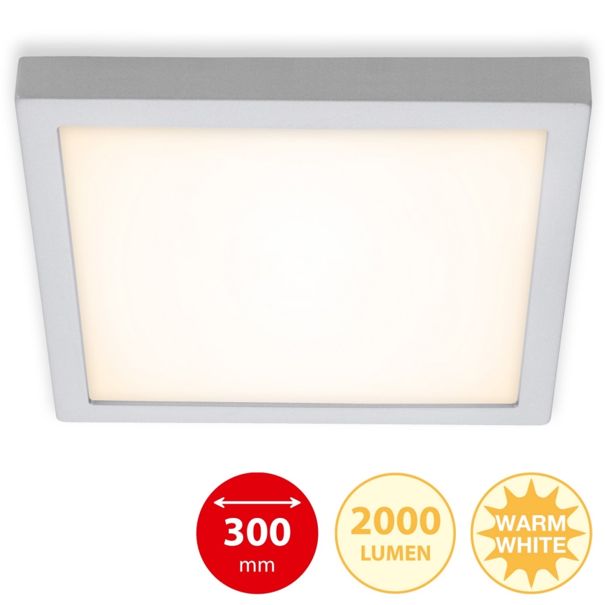Briloner 7142-014 - Стельовий LED світильник FIRE LED/21W/230V 3000K