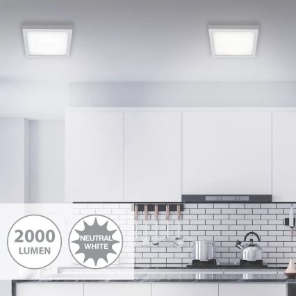 Briloner 7142-414 - Стельовий LED світильник FIRE LED/21W/230V 4000K