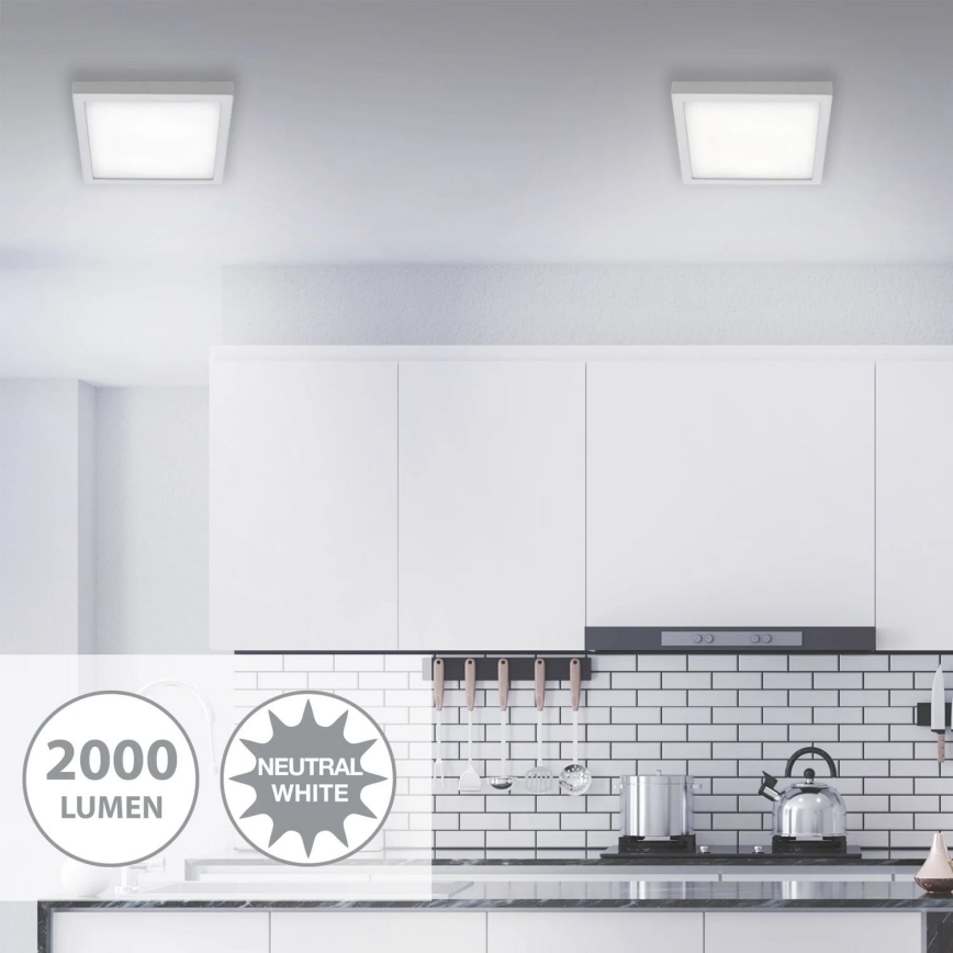 Briloner 7142-414 - Стельовий LED світильник FIRE LED/21W/230V 4000K