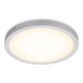 Briloner 7143-014 - Стельовий LED світильник FIRE LED/24,5W/230V 3000K