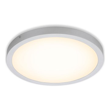 Briloner 7143-014 - Светодиодный потолочный светильник FIRE LED/24,5W/230V 3000K
