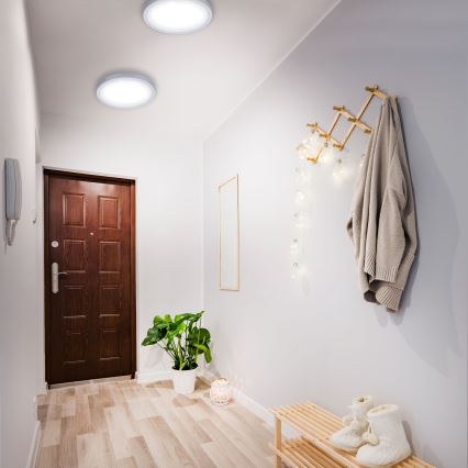 Briloner 7143-414 - Светодиодный потолочный светильник FIRE LED/24,5W/230V 4000K