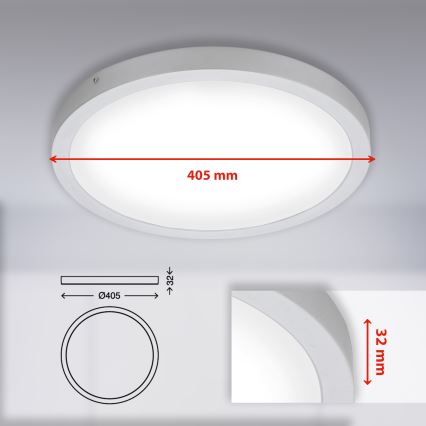 Briloner 7143-414 - Светодиодный потолочный светильник FIRE LED/24,5W/230V 4000K