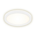 Briloner 7150-416 - Светодиодный потолочный светильник SLIM LED/12W/230V ⌀ 19 см
