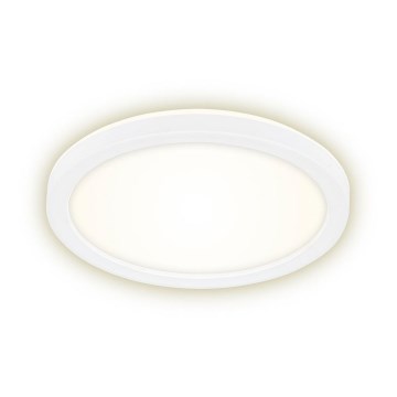Briloner 7150-416 - Светодиодный потолочный светильник SLIM LED/12W/230V ⌀ 19 см