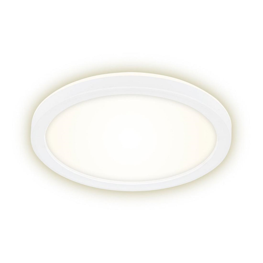 Briloner 7150-416 - Светодиодный потолочный светильник SLIM LED/12W/230V ⌀ 19 см