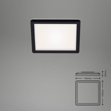 Briloner 7153-415 - Светодиодный потолочный светильник SLIM LED/12W/230V 19x19 cm