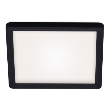 Briloner 7153-415 - Світлодіодний стельовий світильник SLIM LED/12W/230V 19x19 cm