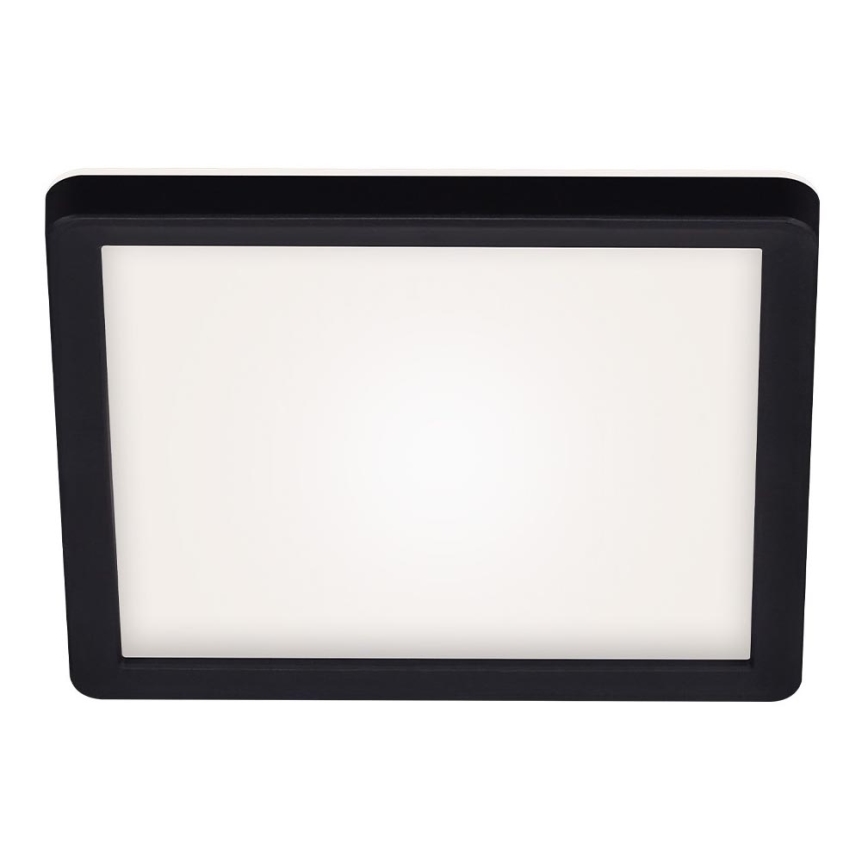 Briloner 7153-415 - Світлодіодний стельовий світильник SLIM LED/12W/230V 19x19 cm