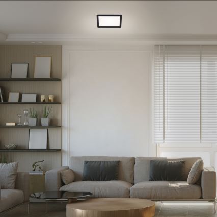Briloner 7153-415 - Світлодіодний стельовий світильник SLIM LED/12W/230V 19x19 cm