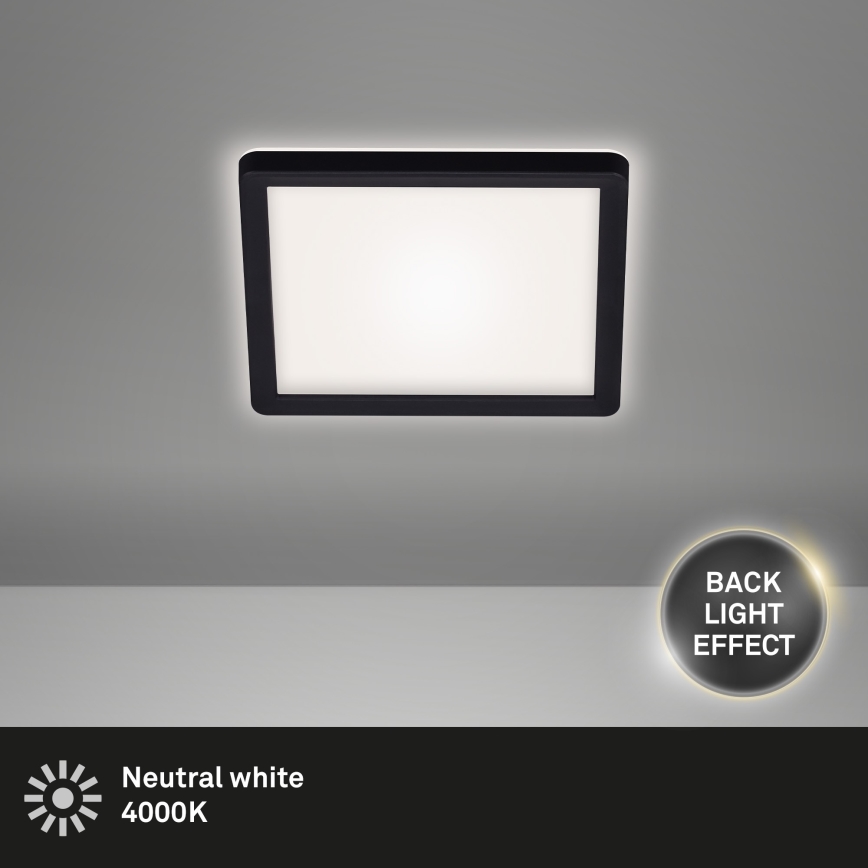 Briloner 7153-415 - Світлодіодний стельовий світильник SLIM LED/12W/230V 19x19 cm