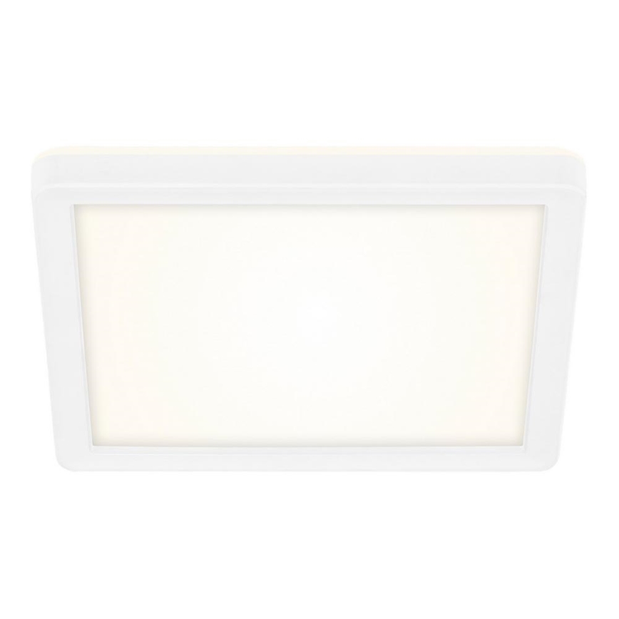 Briloner 7153-416 - Стельовий LED світильник SLIM LED/12W/230V