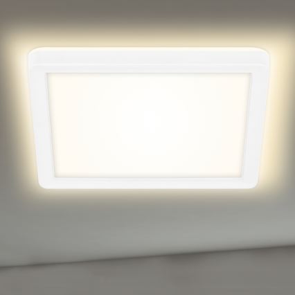 Briloner 7153-416 - Стельовий LED світильник SLIM LED/12W/230V