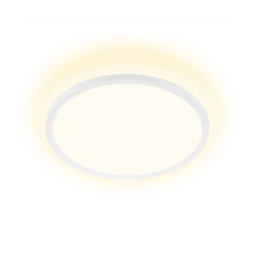 Briloner 7155-416 - Стельовий LED світильник SLIM LED/18W/230V