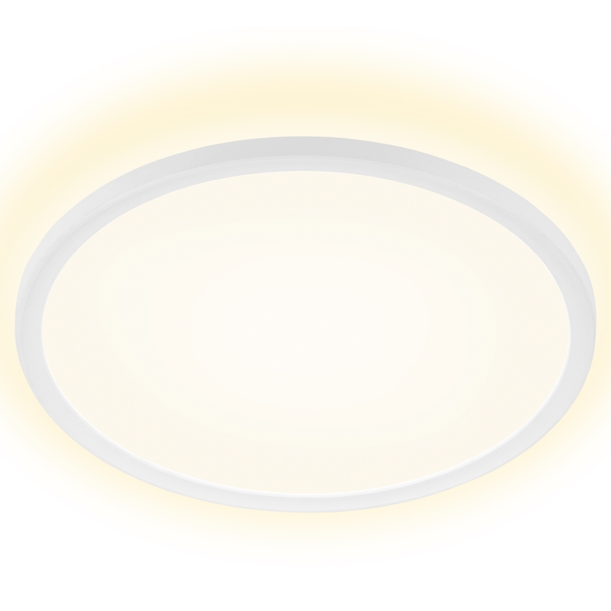 Briloner 7157-416 - Світлодіодний стельовий світильник SLIM LED/22W/230V діаметр 42 cm