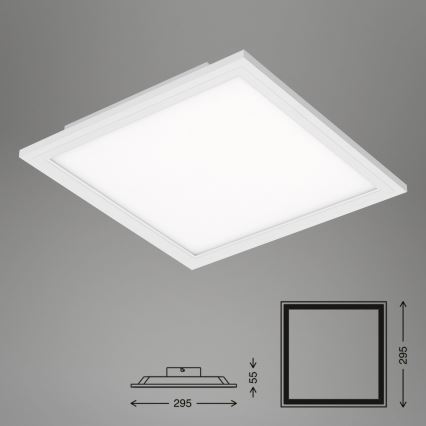 Briloner 7191-016 - Светодиодный потолочный светильник SIMPLE LED/12W/230V