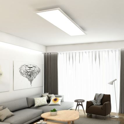 Briloner 7193-016 - LED накладна панель LED/38W/230V 4000K