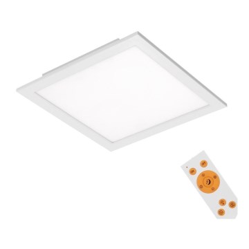 Briloner 7194-016 - Стельовий LED світильник з регулюванням яскравості SIMPLE LED/18W/230V + ДК