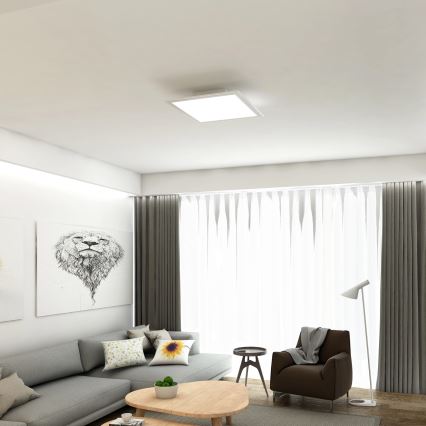 Briloner 7194-016 - Стельовий LED світильник з регулюванням яскравості SIMPLE LED/18W/230V + ДК