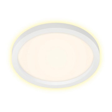 Briloner 7361-016 - Светодиодный потолочный светильник CADRE LED/18W/230V ⌀ 29,7 см белый