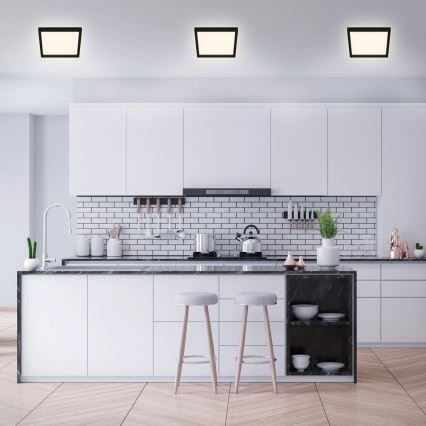 Briloner 7362-015 - Світлодіодний стельовий світильник CADRE LED/18W/230V 29,6x29,6 cm чорний