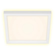 Briloner 7362-016 - Світлодіодний стельовий світильник CADRE LED/18W/230V 29,6x29,6 cm білий