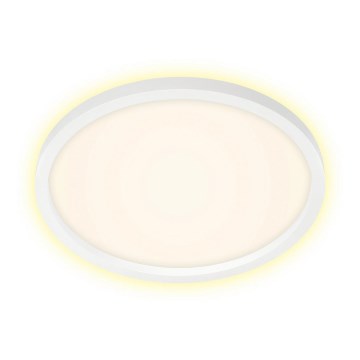 Briloner 7363-016 - Светодиодный потолочный светильник CADRE LED/22W/230V ⌀ 42,5 см белый