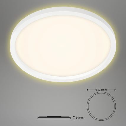 Briloner 7363-016 - Світлодіодний стельовий світильник CADRE LED/22W/230V діаметр 42,5 cm білий