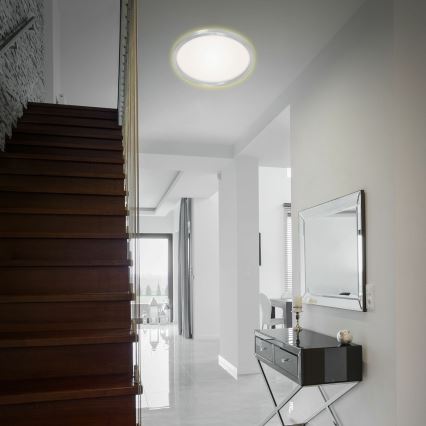 Briloner 7363-019 - Світлодіодний стельовий світильник CADRE LED/22W/230V діаметр 42,5 cm