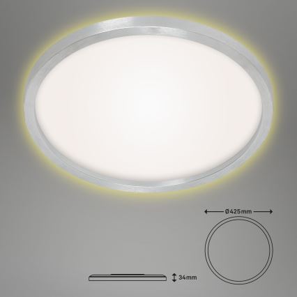 Briloner 7363-019 - Світлодіодний стельовий світильник CADRE LED/22W/230V діаметр 42,5 cm