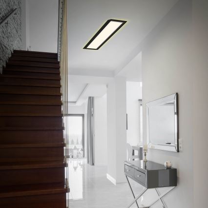 Briloner 7365-015 - Світлодіодний стельовий світильник CADRE LED/22W/230V 58,2x20,2 cm чорний