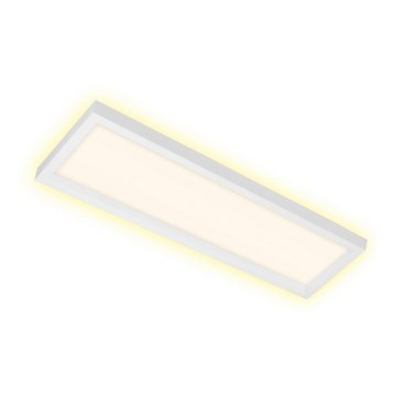 Briloner 7365-016 - Світлодіодний стельовий світильник CADRE LED/22W/230V 58,2x20,2 cm білий
