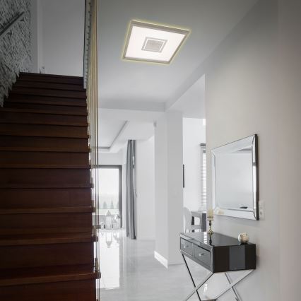 Briloner 7367-112 - Стельовий LED світильник GEO LED/22W/230V