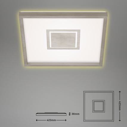 Briloner 7367-112 - Стельовий LED світильник GEO LED/22W/230V
